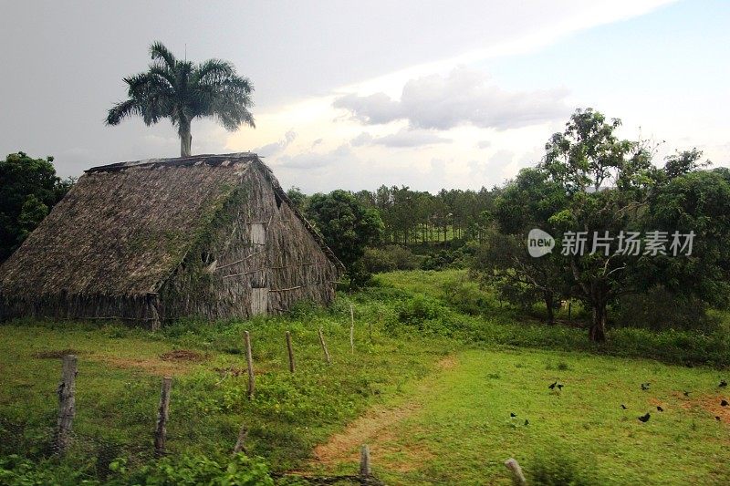 Cuba - Viñales  - landscape